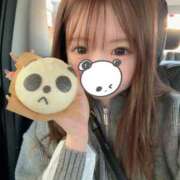 モモカ【♥超絶激カワバニー♥】 パンダ🐼 ドＭなバニーちゃん小倉店