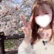 ヒメ日記 2026/04/24 15:22 投稿 モモカ【♥超絶激カワバニー♥】 ドＭなバニーちゃん小倉店