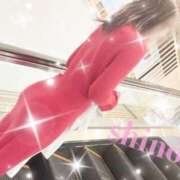 ヒメ日記 2025/02/28 15:26 投稿 高橋　しの YUDEN～油殿～堺東店