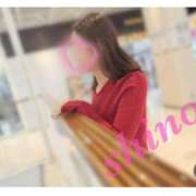 ヒメ日記 2025/04/15 11:01 投稿 高橋　しの YUDEN～油殿～堺東店