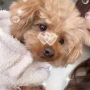 ヒメ日記 2025/01/04 15:34 投稿 さきこ Vivienne池袋西口店