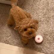 ヒメ日記 2025/08/07 21:25 投稿 さきこ Vivienne池袋西口店