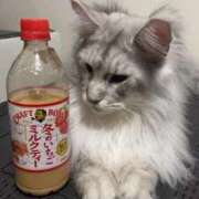 ヒメ日記 2024/12/10 19:02 投稿 れおな 成田人妻花壇