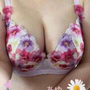 ヒメ日記 2025/05/28 09:22 投稿 あゆ[山口] 奥様鉄道69 FC山口店(周南)