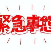 ヒメ日記 2024/11/19 12:19 投稿 あずは One More 奥様　松戸店