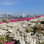 ヒメ日記 2025/05/03 13:14 投稿 ちゃこ 熟女の風俗最終章 高崎店