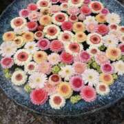 ヒメ日記 2025/01/10 18:31 投稿 ゆい モアグループ南越谷人妻花壇