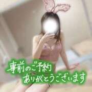 ヒメ日記 2024/12/15 05:01 投稿 チハル ラブコレクション