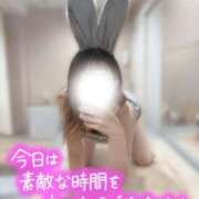 ヒメ日記 2024/12/19 08:46 投稿 チハル ラブコレクション