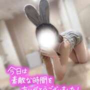 ヒメ日記 2024/12/19 11:16 投稿 チハル ラブコレクション