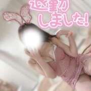 ヒメ日記 2025/01/15 12:31 投稿 チハル ラブコレクション