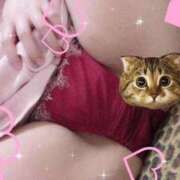 ヒメ日記 2025/07/11 01:47 投稿 やなぎ 栃木♂風俗の神様宇都宮店