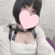 ヒメ日記 2025/06/21 09:02 投稿 ふゆこ Blue Lagoon(ブルーラグーン)