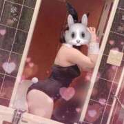 ヒメ日記 2025/08/25 14:09 投稿 つむぎ 白い巨乳