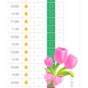 ヒメ日記 2025/03/20 06:00 投稿 まりあ奥様 川崎人妻ソープ Mint(ミント)