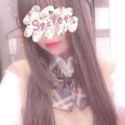 ヒメ日記 2025/12/10 11:30 投稿 まりあ奥様 川崎人妻ソープ Mint(ミント)