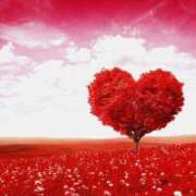 ヒメ日記 2026/02/19 22:16 投稿 新垣 美穂 人妻の雫 倉敷店