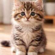 ヒメ日記 2026/04/02 13:22 投稿 YUI 私はキャサリン