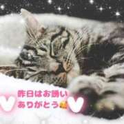 ヒメ日記 2024/12/19 10:56 投稿 ちさと One More 奥様　西船橋店