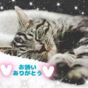 ヒメ日記 2025/02/01 00:46 投稿 ちさと One More 奥様　西船橋店