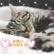 ヒメ日記 2025/02/01 00:52 投稿 ちさと One More 奥様　西船橋店