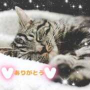 ヒメ日記 2025/02/06 09:49 投稿 ちさと One More 奥様　西船橋店