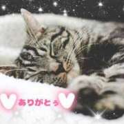 ヒメ日記 2025/02/08 08:29 投稿 ちさと One More 奥様　西船橋店