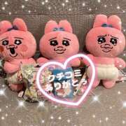 ヒメ日記 2025/02/27 22:27 投稿 ちさと One More 奥様　西船橋店