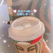 ヒメ日記 2025/11/27 09:56 投稿 ちさと One More 奥様　西船橋店