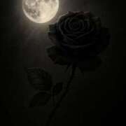 ヒメ日記 2025/07/13 10:12 投稿 宝井（たからい） 熟女の風俗最終章 大宮店