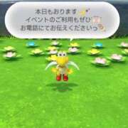 ヒメ日記 2024/12/12 12:24 投稿 りく ちゃんこ本厚木店