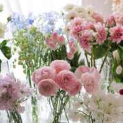 ヒメ日記 2025/04/05 08:39 投稿 りみ ぷるるんマダム 難波店