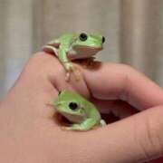 ヒメ日記 2025/05/21 11:15 投稿 りみ ぷるるんマダム 難波店