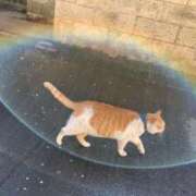 ヒメ日記 2025/10/16 13:39 投稿 りみ ぷるるんマダム 難波店