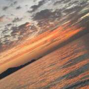 ヒメ日記 2025/11/14 11:15 投稿 りみ ぷるるんマダム 難波店