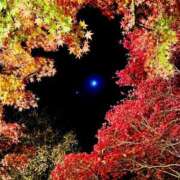 りみ 感謝です🙂‍↕️ ぷるるんマダム 難波店