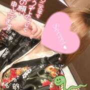 ヒメ日記 2025/01/01 12:08 投稿 せな◆至る所で性欲発散する変態 即イキ淫乱倶楽部 高崎店