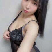 ヒメ日記 2025/04/03 10:19 投稿 のん Versailles