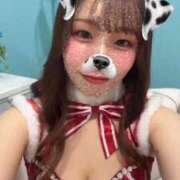 ヒメ日記 2025/12/17 08:10 投稿 のん Versailles