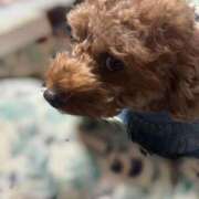 ヒメ日記 2026/01/03 13:01 投稿 のん Versailles