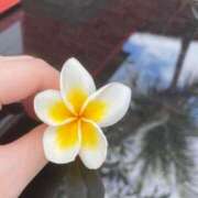 ヒメ日記 2025/03/03 17:59 投稿 れいか　元お姉京都 G-STAGE（京都グループ）