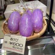 ヒメ日記 2026/09/01 12:59 投稿 みこ　元妻next G-STAGE