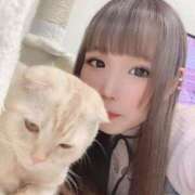 ヒメ日記 2024/12/16 16:49 投稿 ひめの 元クリ南 G-STAGE（京都グループ）