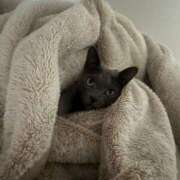 ヒメ日記 2025/01/23 12:59 投稿 ひめの 元クリ南 G-STAGE（京都グループ）