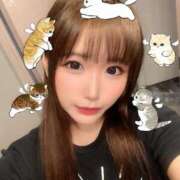 ヒメ日記 2025/02/04 10:49 投稿 ひめの 元クリ南 G-STAGE（京都グループ）