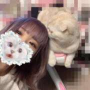 ヒメ日記 2025/02/05 00:00 投稿 ひめの 元クリ南 G-STAGE（京都グループ）