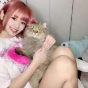 ヒメ日記 2025/02/18 00:04 投稿 ひめの 元クリ南 G-STAGE（京都グループ）