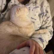 ヒメ日記 2025/02/25 19:29 投稿 ひめの 元クリ南 G-STAGE（京都グループ）