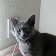 ヒメ日記 2025/03/17 16:30 投稿 ひめの 元クリ南 G-STAGE