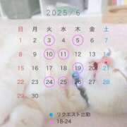 ヒメ日記 2025/05/20 21:19 投稿 ひめの 元クリ南 G-STAGE